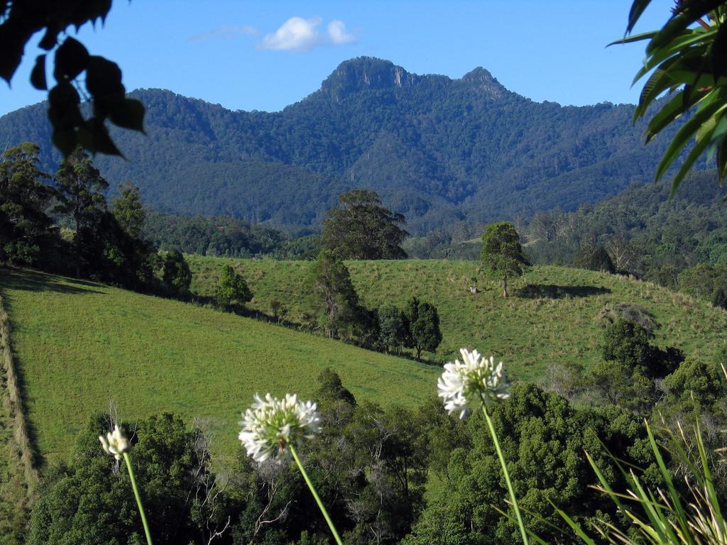 Bed and Breakfast Hillcrest Mountain View Retreat Crystal Creek Exteriér fotografie